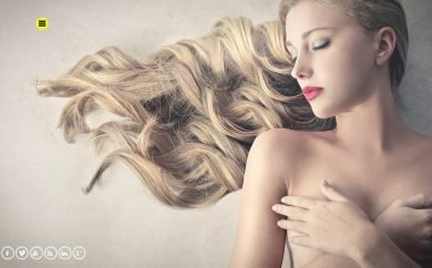 wordpress photography themes