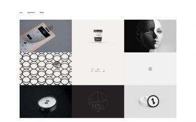wordpress portfolio themes