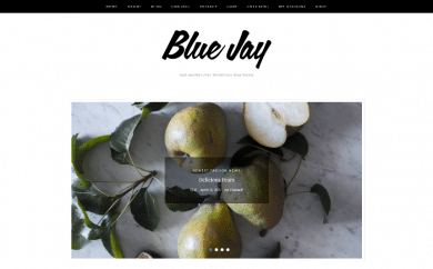 free wordpress themes