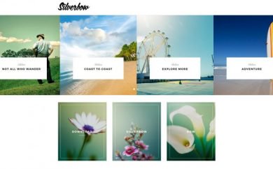 Silverbow Wordpress Theme