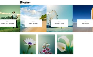 WordPress Silverbow theme
