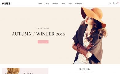 Minet WooCommerce Video, Personal Blog and Portfolio theme